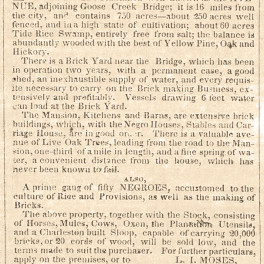 Advertisement for the sale of Avenue Plantation, also known as The Oaks