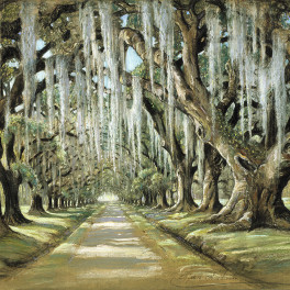 <em>Avenue at The Oaks, Goose Creek,</em>